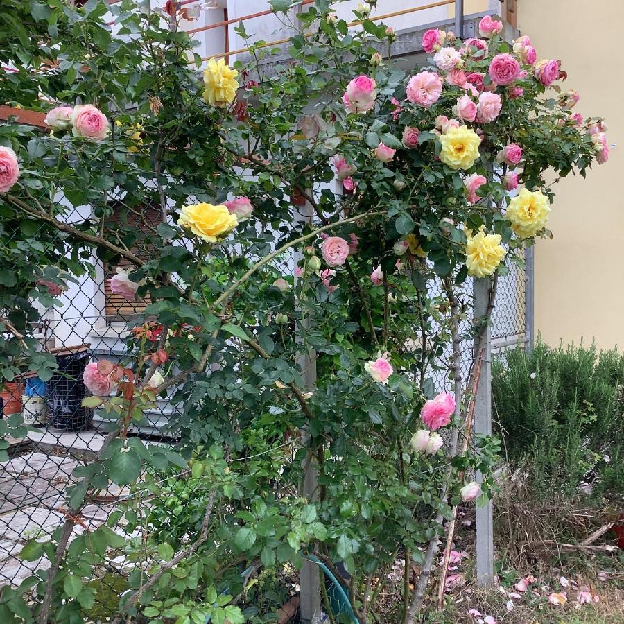Privano Ai Quattro Soli المظهر الخارجي الصورة